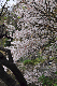 image0247
