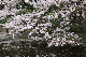 image0249