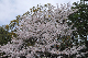 image0252