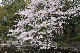 image0253