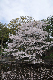 image0254