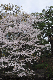 image0255