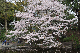 image0257