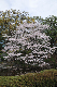 image0258