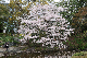 image0259