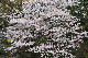 image0261