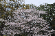 image0262