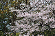 image0265