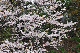 image0266