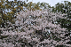 image0267
