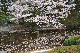 image0268