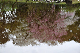 image0271