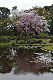 image0273
