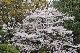 image0276