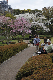 image0278