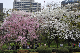 image0284