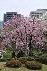 image0286
