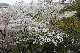image0287