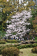 image0291