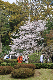 image0294