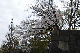 image0295