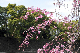 image0309