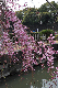 image0311