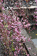 image0312