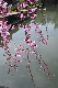 image0314