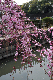 image0315