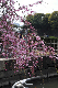 image0316
