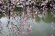 image0317