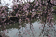 image0319