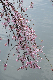 image0325