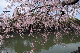 image0329