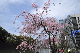 image0330