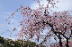 image0331