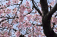 image0334