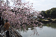 image0336