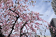 image0337