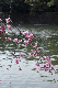 image0338