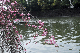 image0339