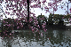 image0341