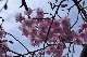 image0344