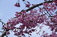image0345