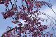 image0346