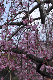 image0349