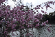 image0352