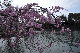 image0354