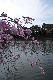 image0355